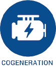 icon_cogen