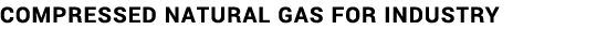 COMPRESSED NATURAL GAS FOR INDUSTRY